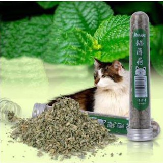 Cỏ mèo Catnip Dạng Ống