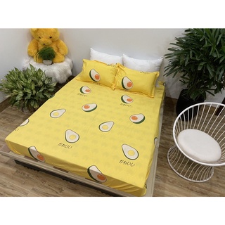 Ga Trải Giường Poly 1M4,ga bọc đệm mẫu mới-mẫu bơ vàng