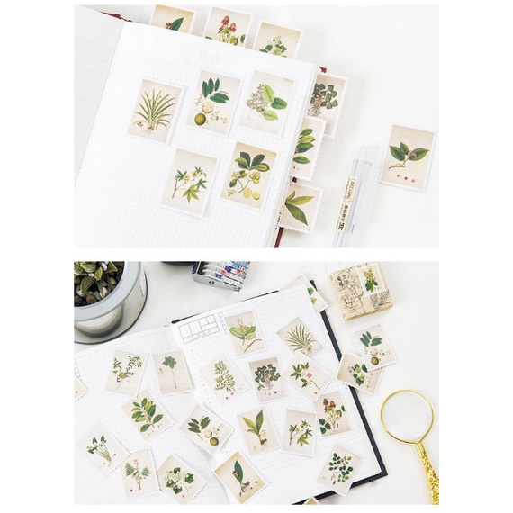 Hộp 45 hình dán sticker trang trí hình lá cây M924