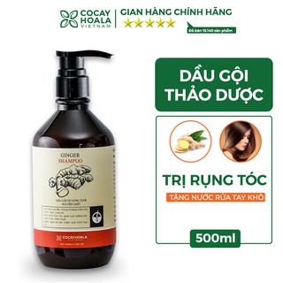 [GIÁ TỐT NHẤT] Dầu Gội Thiên Nhiên Chứa vụn Gừng Tươi Dưỡng Tóc Mềm Mượt Cocayhoala 500ml [CHẤT LƯỢNG]