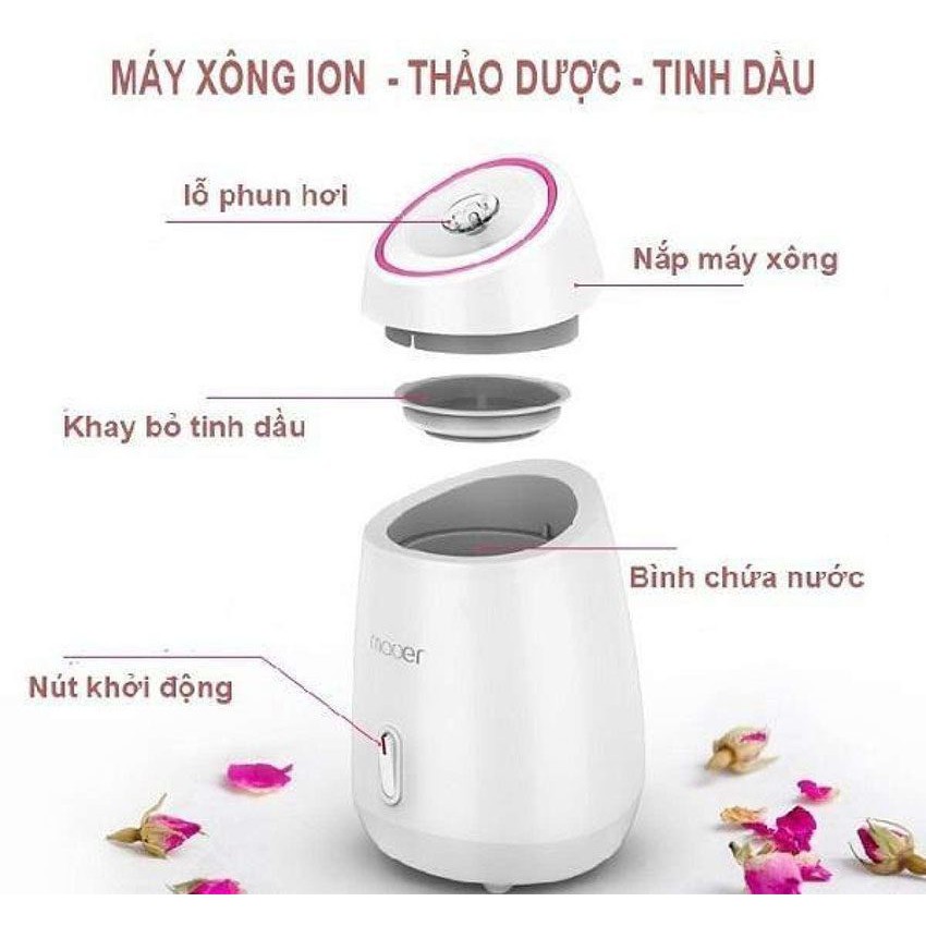 Máy xông hơi mặt MAOER – Xông hơi thảo dược, hoa quả tươi [ Hàng chính hãng ] có màu trắng