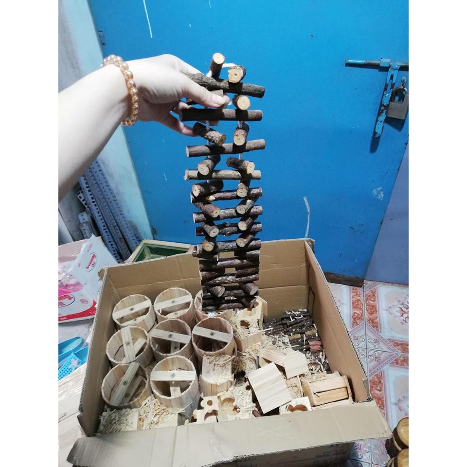 Dây leo gỗ thông cho Sóc,hamster dài 40cm -50cm