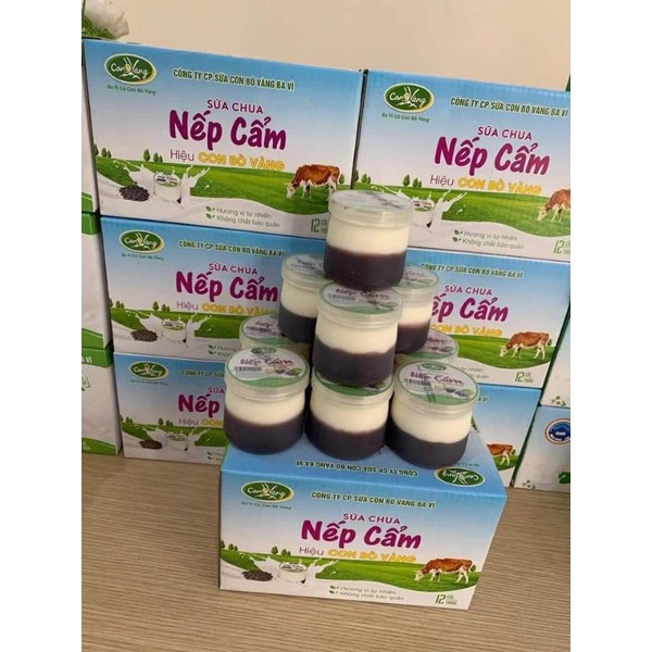 SỮA CHUA NẾP CẨM  / PHÔ MAI