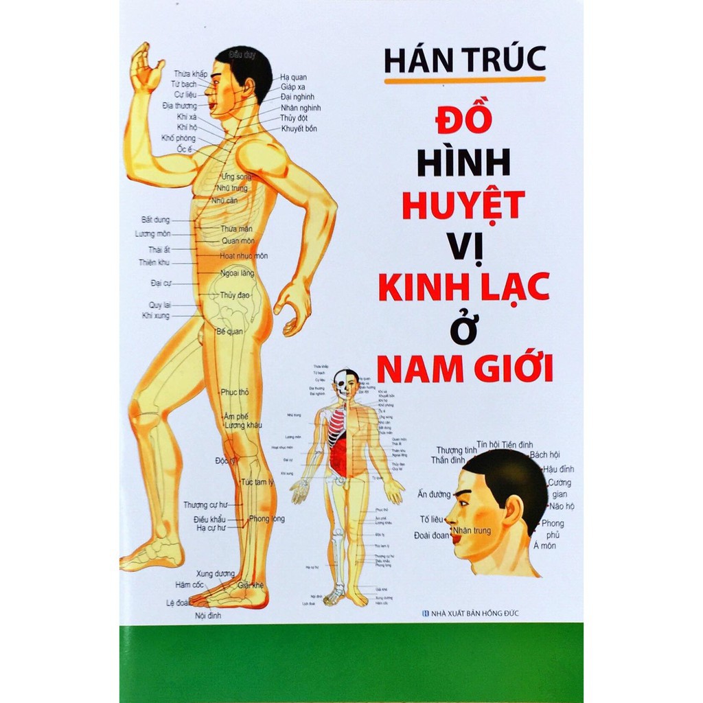 Sách - Đồ Hình Huyệt Vị Kinh Lạc Ở Nam Giới - Hán Trúc - Tái Bản Năm 2019 Gigabook