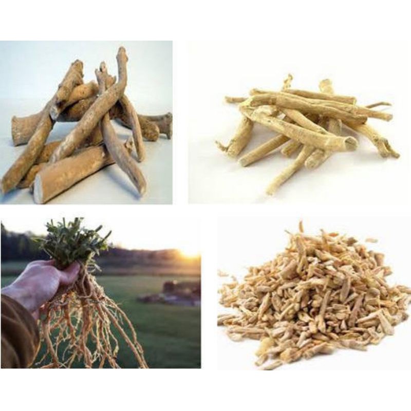 Swanson Full Sprectrum Ashwagandha 900mg - Viên uống nhân sâm Ấn Độ giảm căng thẳng và tăng năng lượng 100 viên
