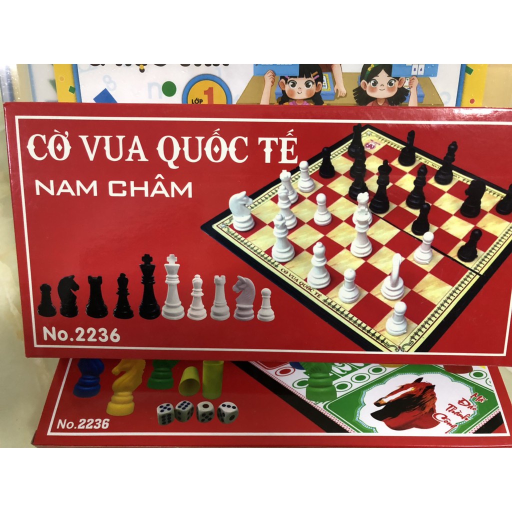 CỜ VUA QUỐC TẾ NAM CHÂM LOẠI TO