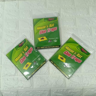 Combo 10 miếng dính chuột cao cấp