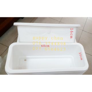 Ship trên 3 cái - Khay chữ nhật nuôi cá kích thước 48x20x16cm