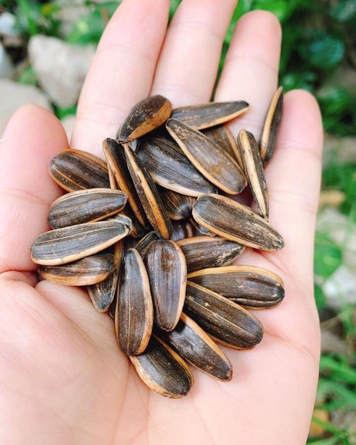 Hướng Dương Trung Hoa - Túi 500g | BigBuy360 - bigbuy360.vn