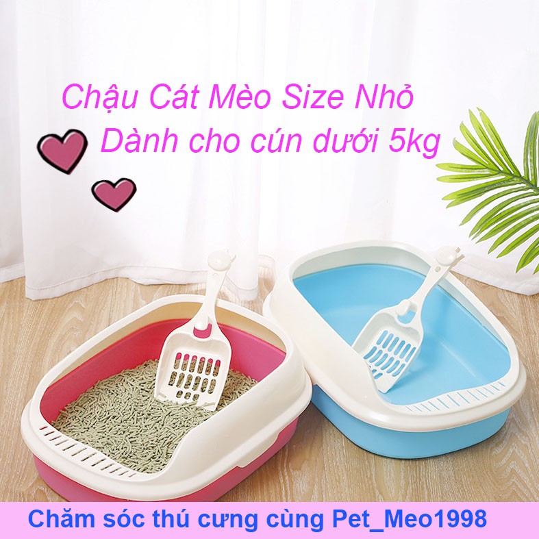  Chậu Vệ Sinh Cho Mèo + Tặng Kèm Xẻng