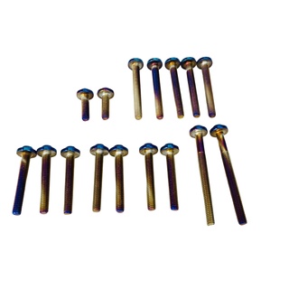 Bộ Ốc Lốc Máy 16 con cho SIRIUS Fi