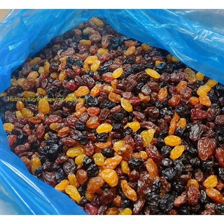 [Size Jumbo] Nho khô 3 màu Chile date mới 500g