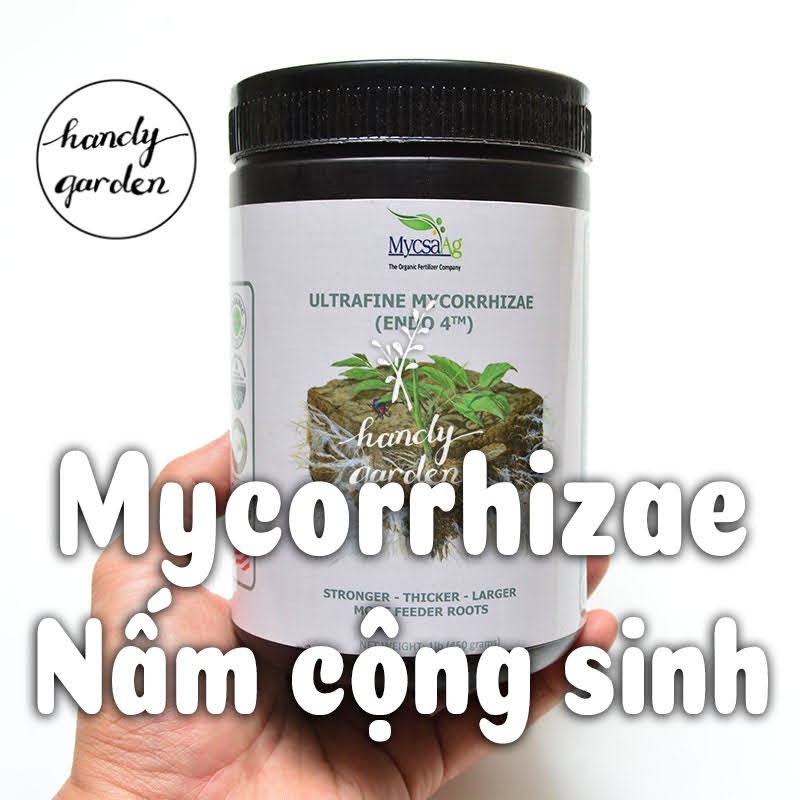 450g Mycorrhiza Nấm Cộng Sinh phát triển rễ cây sen đá, xương rồng, kiểng lá, hoa hồng, hương thảo, kiểng lá, thông