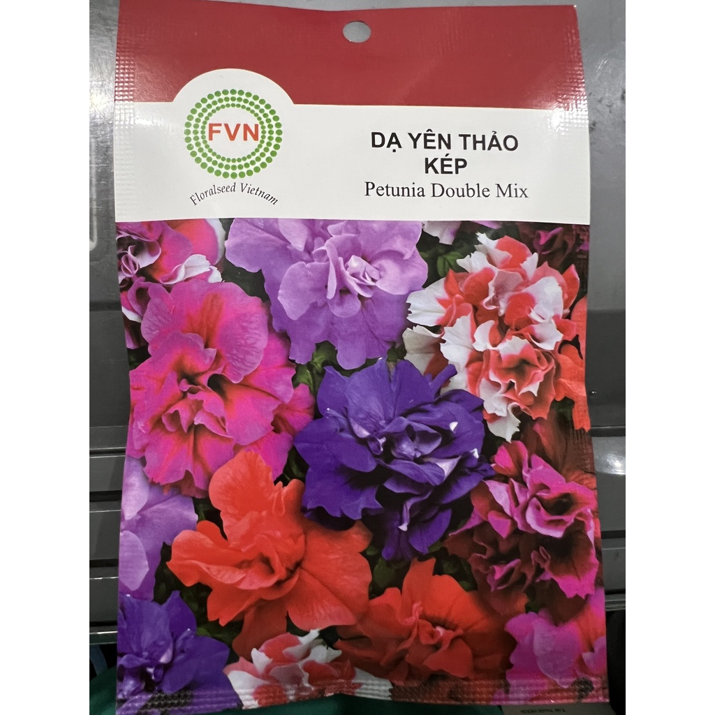 Hạt Giống Hoa Dạ Yên Thảo Kép FVN (Gói 15 Hạt)