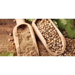 [HÀNG CHÍNH HÃNG] Bột Ngò Khô – Coriander Ground