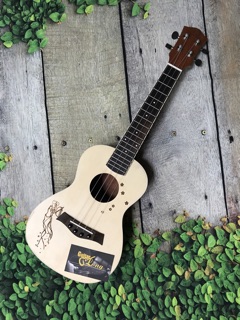 Đàn Ukulele Concert MT-800 CB1