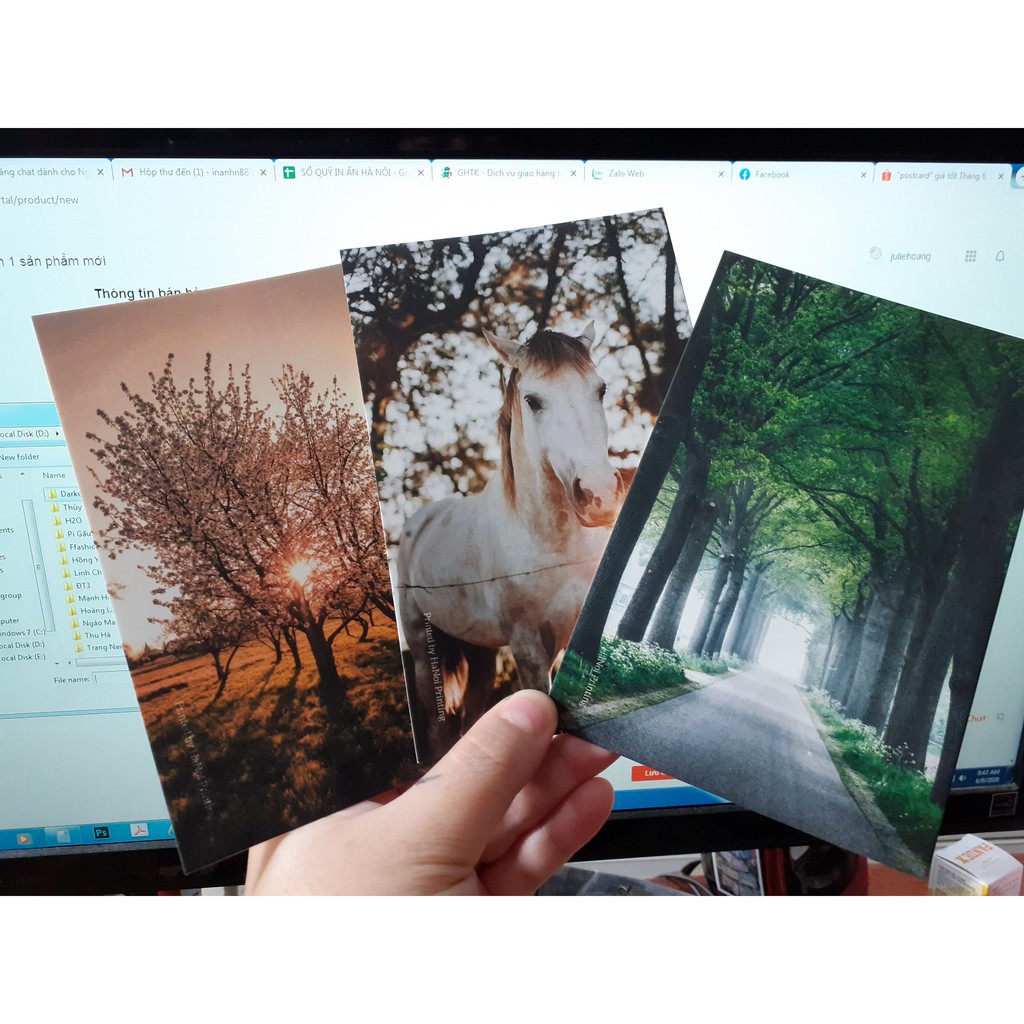 COMBO 10 TẤM POSTCARD CHỤP ẢNH - TREO DÂY TRANG TRÍ