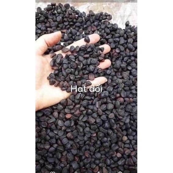 500g Hạt dổi rừng, hạt dổi, gia vị tây bắc, gia vị chấm, muối chấm, nước chấm, tẩm ướp thực phẩm cho mọi nhà