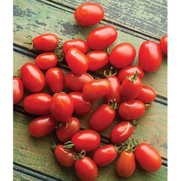 ( SIÊU RẺ ) Hạt giống cà chua bi chùm ( cà chua bi chuỗi ngọc) gói 30 hạt