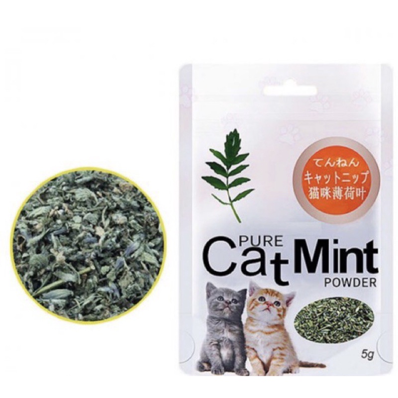 Cỏ Bạc Hà Cho Mèo Catnip/ Catmint - Xiuxiu Giang