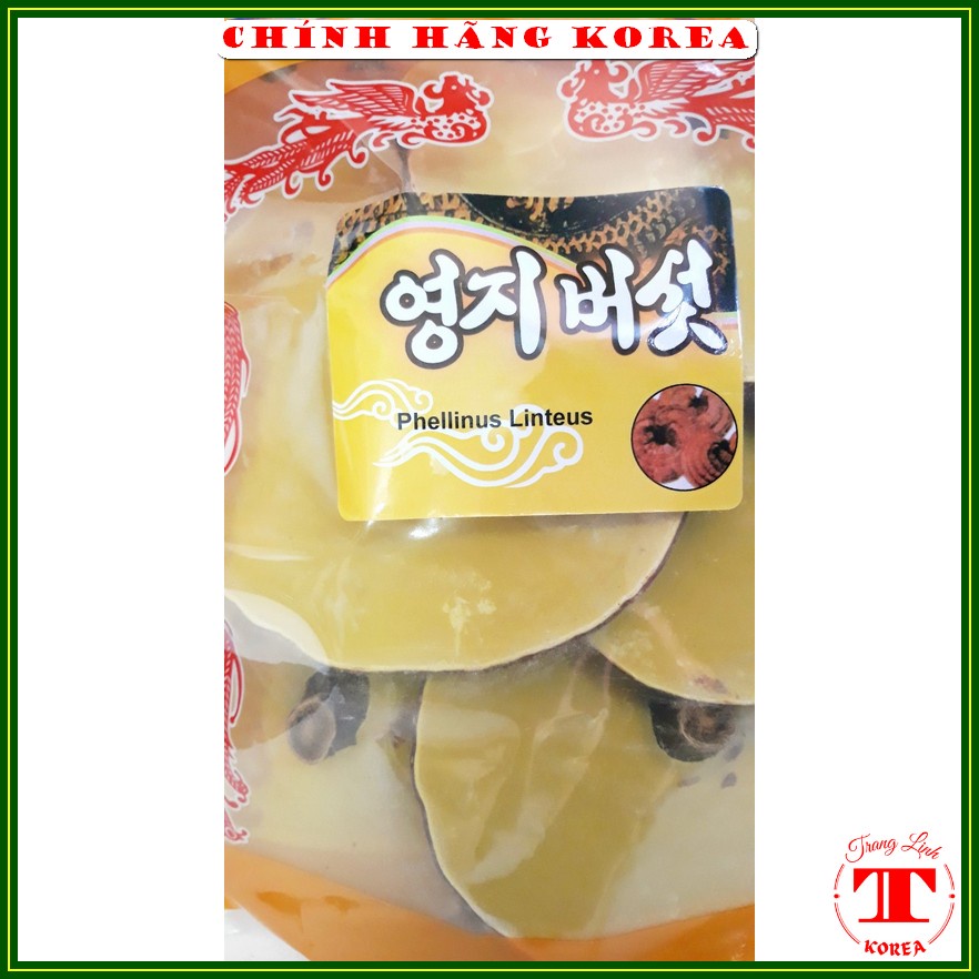Nấm linh chi hàn quốc thượng hạng - Nấm túi cam 1kg - Thải độc, thanh lọc cơ thể, phòng ung thư - tranglinh