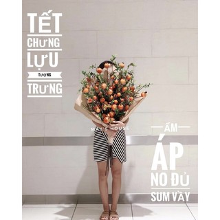 Combo 5 Cành lựu  chưng tết cao 95cm