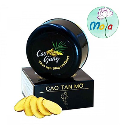 [ĐÁNH BAY MỠ THỪA] CAO GỪNG GEL TAN MỠ  mola