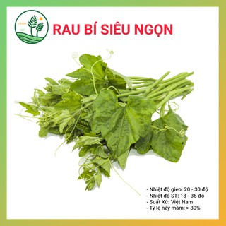 Hạt Giống Rau Bí Siêu Ngọn - 20gr - Thu Hoạch Sau 40 Ngày