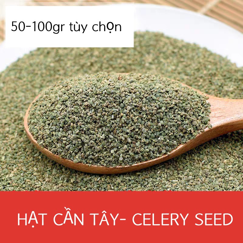 50-100g Celery seed/ Hạt cần tây