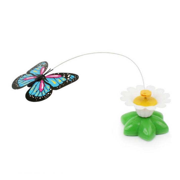 Đồ chơi bắt bướm tự động bay lượn cho chó mèo - phụ kiện chó mèo - ShopPetAz