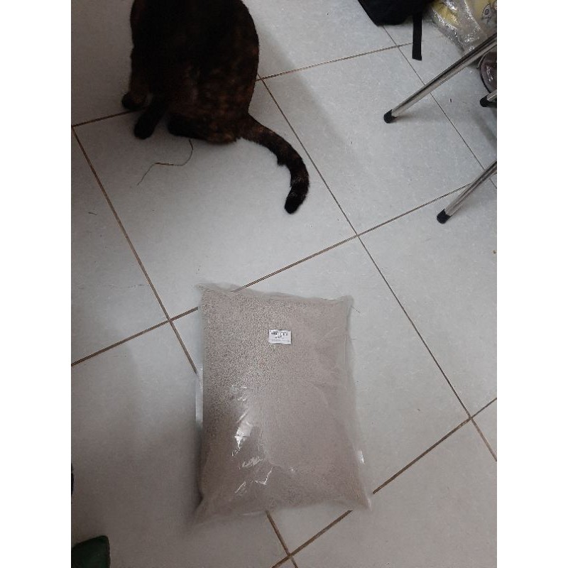 Cát vệ sinh thanh lý