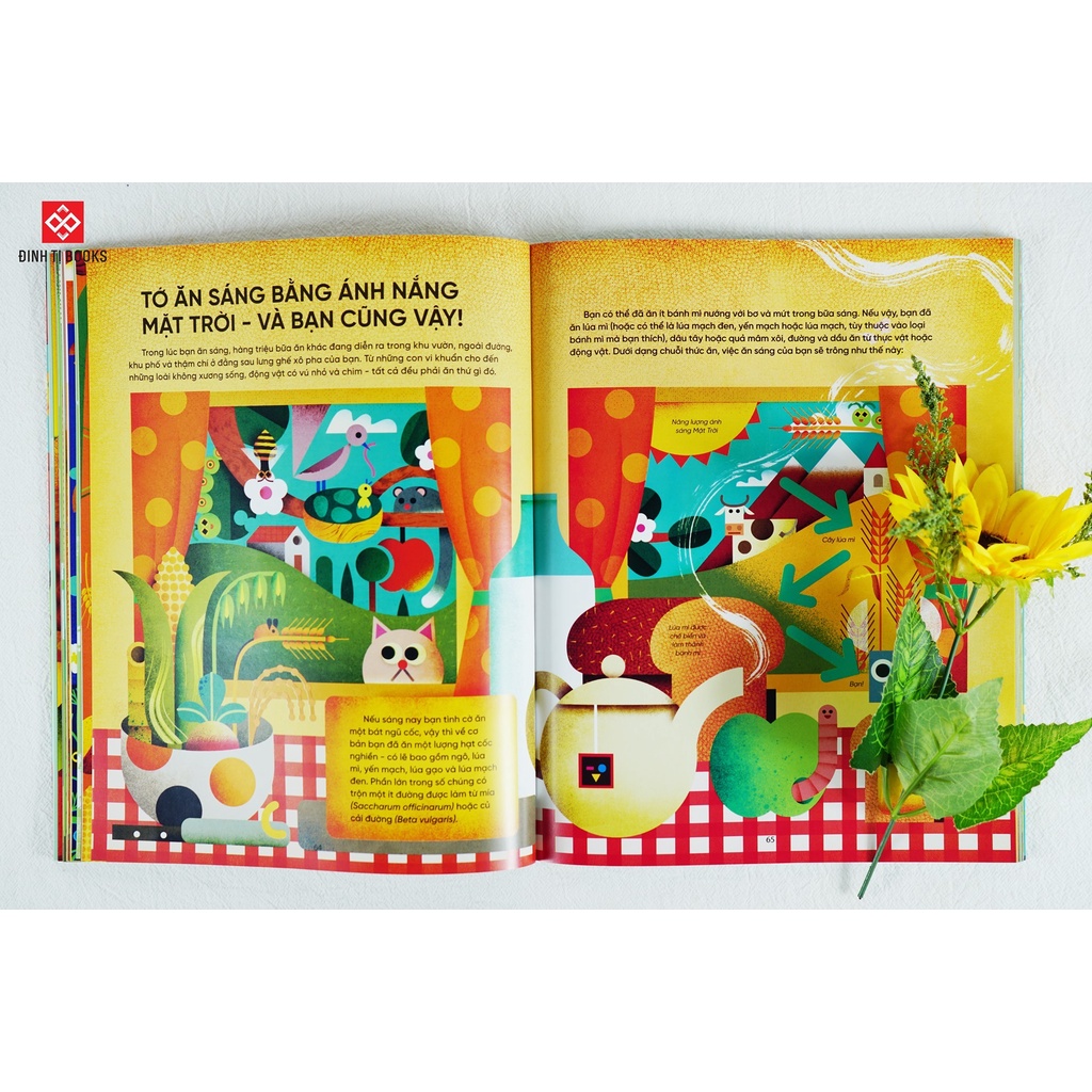 SÁCH - Bữa sáng của tớ là ánh dương