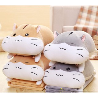 BỘ CHĂN GỐI CHO BÉ,VĂN PHÒNG HÌNH MÈO CUTE