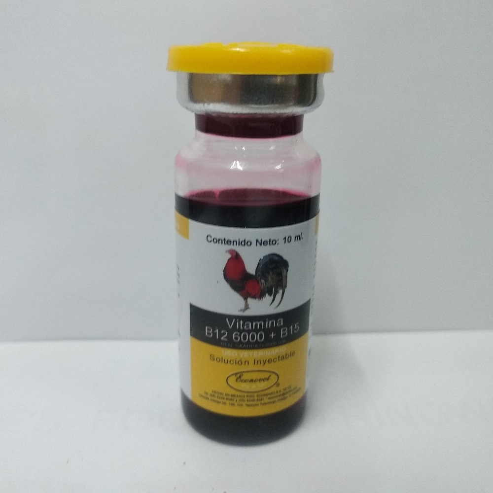 b12 6000 b15 gà đỏ khỏe, tăng cường sức mạnh dẻo dai
