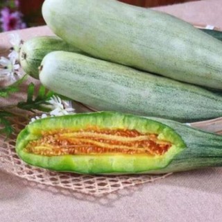 Hạt giống dưa Chuột chuối xanh thơm🥒Đài Loan🥒 Dưa leo chuối, dưa chuột giống mới(Nhập nguyên gói bao bì Đài Loan