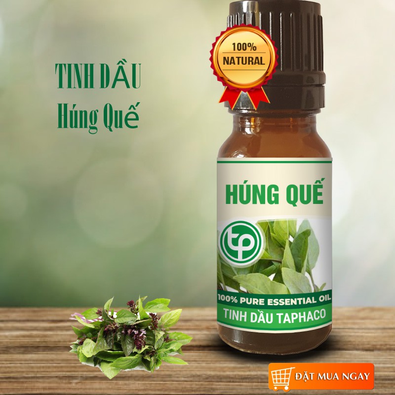 Tinh Dầu Húng Quế - TaPha 10ml Thơm Phòng