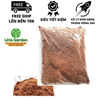 500g xơ dừa xay
