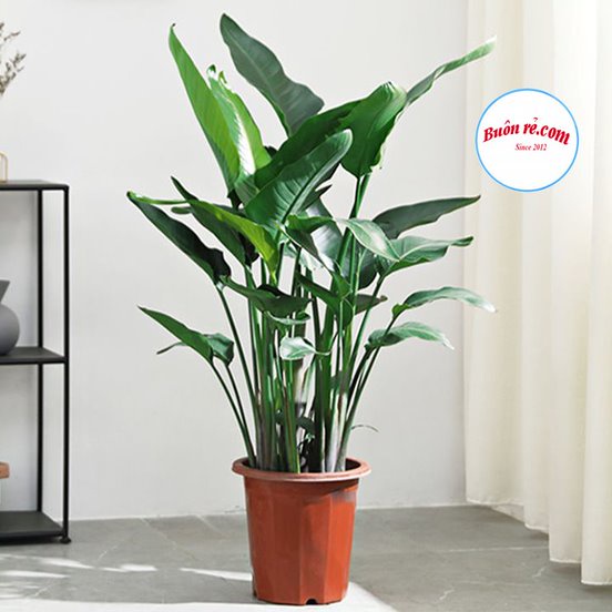 Chậu nhựa tròn trồng hoa, cây cảnh Việt Nhật (MS:2287) - Chậu nhựa giả gỗ trồng hoa, rau dáng đứng sang trọng Br 01537