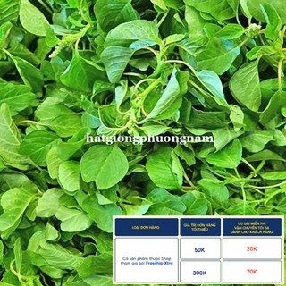 5GR - HẠT GIỐNG RAU DỀN CƠM