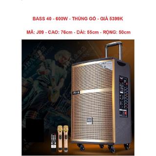 Loa kéo di động jba-a09 bass 40 + 2 micro thùng gỗ - hàng nhập khẩu