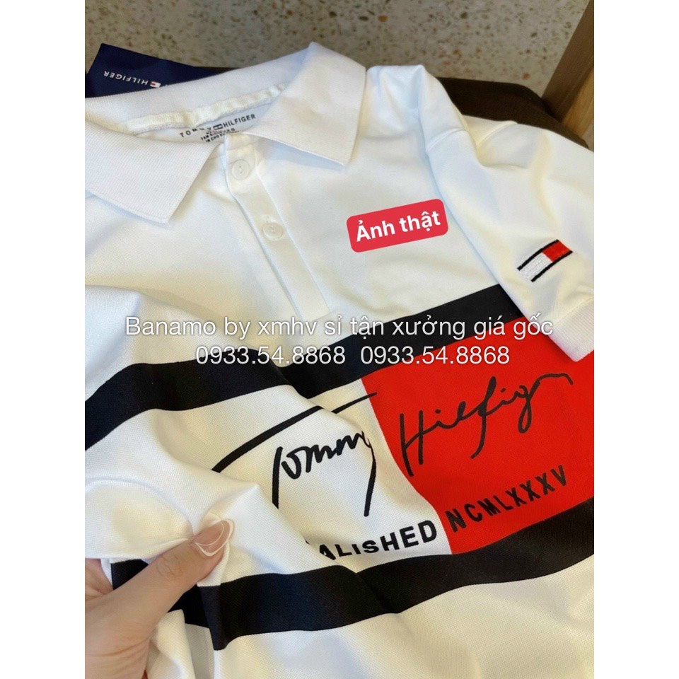 Áo polo nam nữ Tommy áo phông cổ bẻ chất cá sấu mềm mát thời trang Banamo Fashion polo unisex Tommy 3925