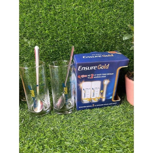 Set 2 Ly Chia Vạch Ensure Gold Đẹp Chất Liệu Thủy Tinh Cao Cấp, Rất Dày Dặn