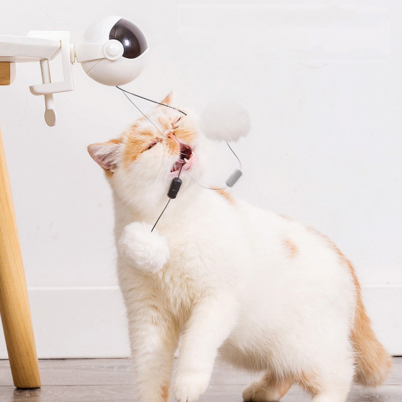 Đồ Chơi Nâng Bóng Tự Động Vui Nhộn Cho Mèo Cưng