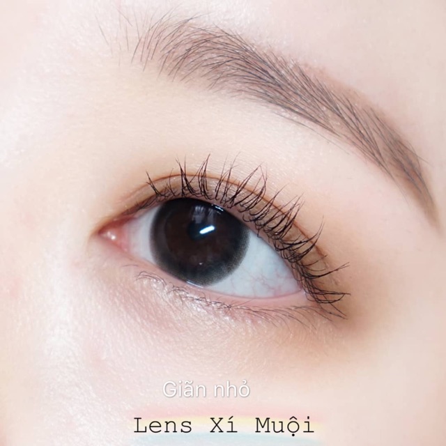 Lens màu đen giãn nhỏ/to có cận (từ 0-6 độ)