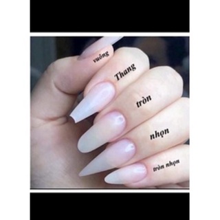 Nail box móng úp thiết kế dễ thương