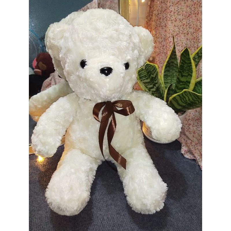 gấu teddy.