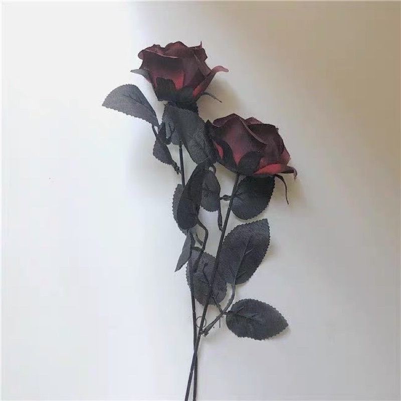 Hoa hồng cosplay phong cách Gothic cá tính (Ảnh thật)