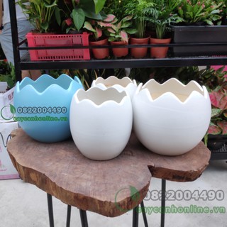 Chậu quả trứng nhỏ gốm sứ trồng cây cảnh để bàn cây mini phong thủy