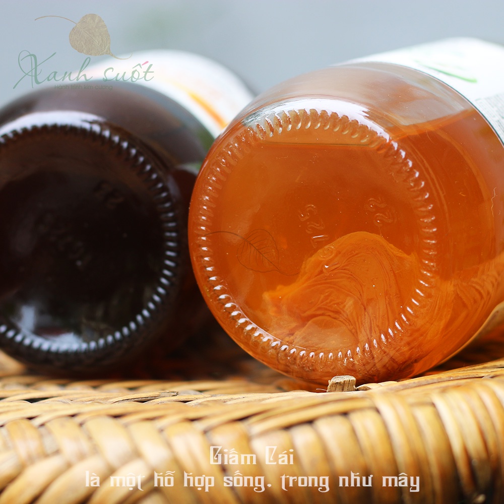 [Barnes Naturals] Giấm Táo Hữu Cơ- Có Giấm Cái- Apple Cider Vinegar With The Mother- Thơm, Ngon, Giữ Nguyên [Xanh Suốt]