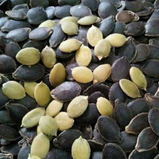 HẠT BÍ MÈO ĐEN rang sẵn(1kg)